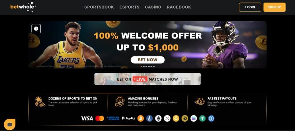 Promotional webpage for BetWhale showing two athletes—a basketball player in a Los Angeles Lakers jersey and a football player in a Baltimore Ravens uniform—over a dark banner advertising a 100% welcome offer up to $1,000, with call-to-action Bet Now, payment icons including Visa, MasterCard, PayPal and major cryptocurrencies, and visible Login and Sign Up buttons.